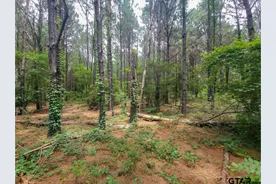 21135 Fm 1252, Winona, TX 75706 - Photo 23
