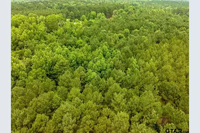 21135 Fm 1252, Winona, TX 75706 - Photo 17