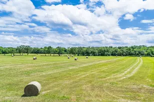 609 Co Rd 2421, Como, TX 75431 - Photo 11