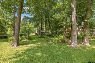 10424 Cr 1265 (Flintridge), Flint, TX 75762 - Photo 33