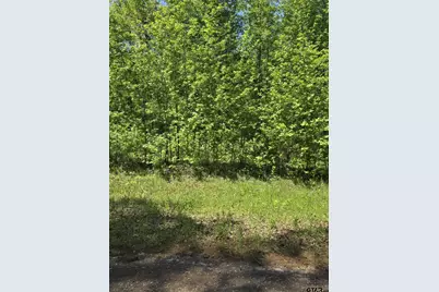 Tbd C R 421, Tyler, TX 75704 - Photo 9
