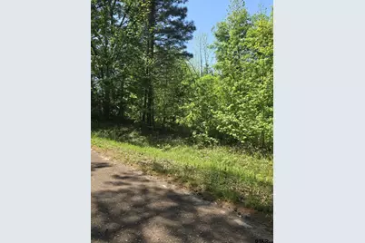 Tbd C R 421, Tyler, TX 75704 - Photo 3
