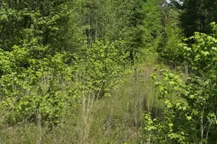 Tbd C R 421, Tyler, TX 75704 - Photo 1