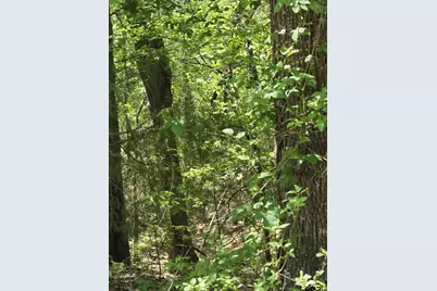 Tbd C R 421, Tyler, TX 75704 - Photo 15