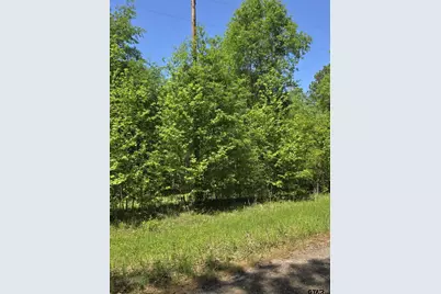 Tbd C R 421, Tyler, TX 75704 - Photo 5