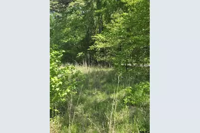 Tbd C R 421, Tyler, TX 75704 - Photo 11