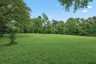 6146 County Rd 334, Tyler, TX 75708 - Photo 29