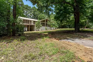 563 Branding Iron Ln, Holly Lake Ranch, TX 75765 - Photo 25