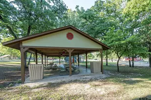 563 Branding Iron Ln, Holly Lake Ranch, TX 75765 - Photo 33