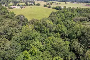 432 County Road 3204, Quitman, TX 75783 - Photo 41