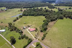 432 County Road 3204, Quitman, TX 75783 - Photo 43