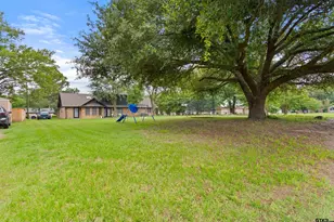 680 Woodbine Dr, Hawkins, TX 75765 - Photo 31