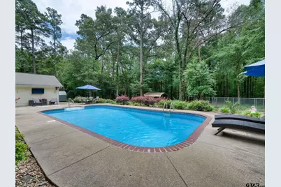 14121 Pine Overlook Dr, Flint, TX 75762 - Photo 31