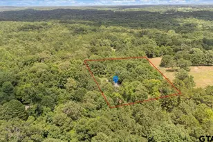 13506 County Rd 3104, Gladewater, TX 75647 - Photo 5