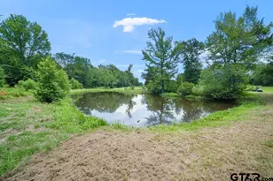 541 Co Rd 3135, Quitman, TX 75783 - Photo 45