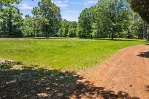 4469 Co Rd 1579, Avinger, TX 75630 - Photo 41