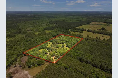 4469 County Road 1579, Avinger, TX 75630 - Photo 45