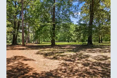 4469 County Road 1579, Avinger, TX 75630 - Photo 47