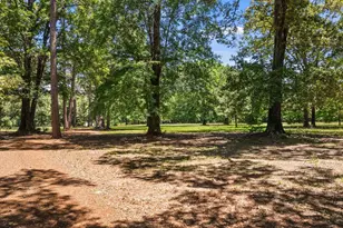 4469 Co Rd 1579, Avinger, TX 75630 - Photo 47