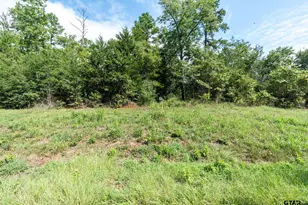 11163 Moser Ln, Whitehouse, TX 75791 - Photo 1