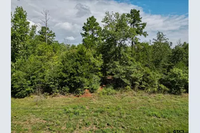 11163 Moser Ln, Whitehouse, TX 75791 - Photo 9