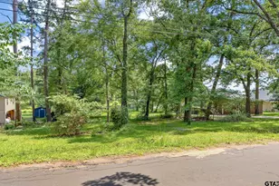 17414 Lakeview Dr, Flint, TX 75762 - Photo 39