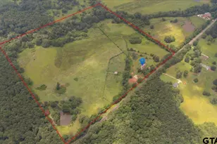 21675 Hwy 110 N, Troup, TX 75789 - Photo 3