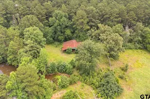 21675 Hwy 110 N, Troup, TX 75789 - Photo 47