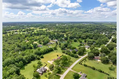 19606 Norfolk Drive, Flint, TX 75762 - Photo 47