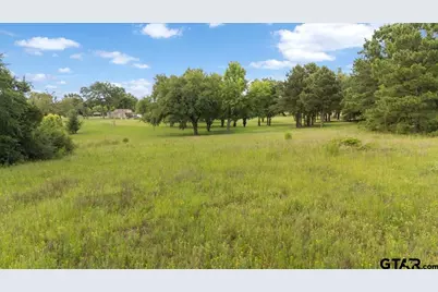 Tbd Cr 1125, Tyler, TX 75704 - Photo 3