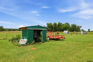 8689 FM 993, Pittsburg, TX 75686 - Photo 27