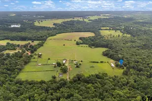 3989 Bob O Link, Gilmer, TX 75645 - Photo 29