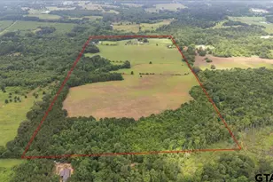 3989 Bob O Link, Gilmer, TX 75645 - Photo 27