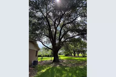 992 C R 1147 N, Tyler, TX 75704 - Photo 41