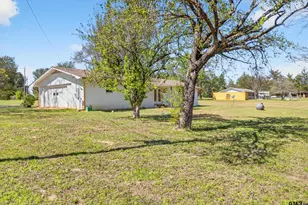 6367 Orange, Big Sandy, TX 75755 - Photo 29