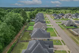 807 Redwing Wy, Whitehouse, TX 75791 - Photo 3