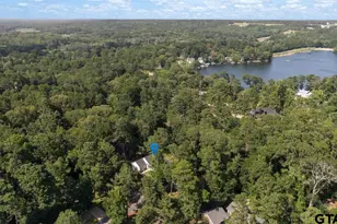 1627 Orchard Ln, Hideaway, TX 75771 - Photo 41