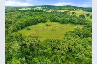 0 Cr 4336, LaRue, TX 75770 - Photo 13