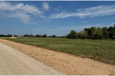134 Private Road 5296, Alba, TX 75410 - Photo 3