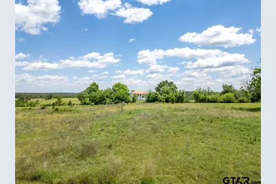8869 County Road 1617, Avinger, TX 75630 - Photo 41