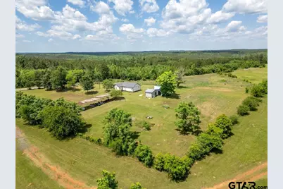 8869 County Road 1617, Avinger, TX 75630 - Photo 43