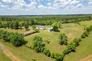 8869 Co Rd 1617, Avinger, TX 75630 - Photo 43