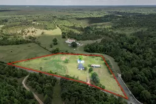 8869 Co Rd 1617, Avinger, TX 75630 - Photo 33