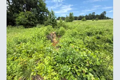 3099 Cr 3114, Jacksonville, TX 75766 - Photo 9