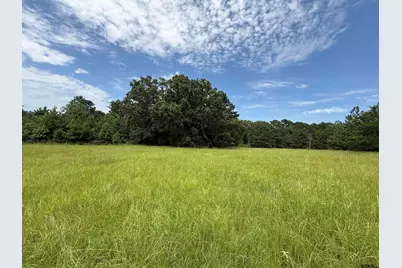 3099 Cr 3114, Jacksonville, TX 75766 - Photo 5