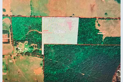 Tbd County Road 4705, Troup, TX 75789 - Photo 3