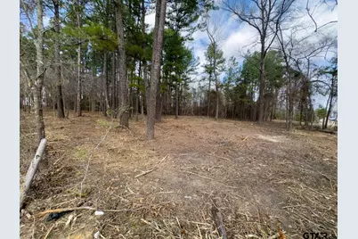 3363 Fm 349, Kilgore, TX 75663 - Photo 13