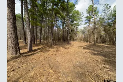 3363 Fm 349, Kilgore, TX 75663 - Photo 15
