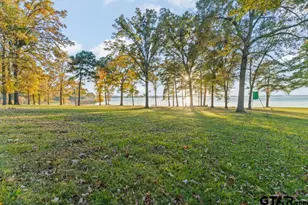 526 Shadywood Ln, Avinger, TX 75630 - Photo 41