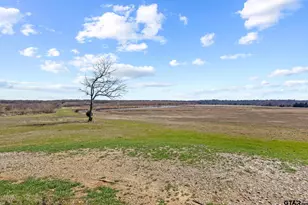 660 Twisted Mallard Wy, Honey Grove, TX 75446 - Photo 5